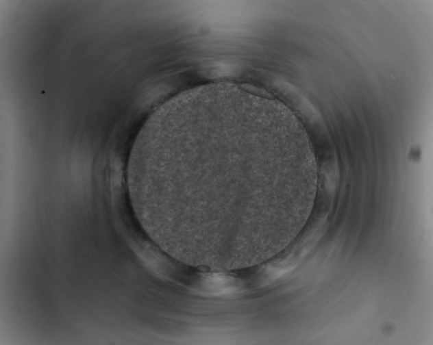 X0000102830380200809151045