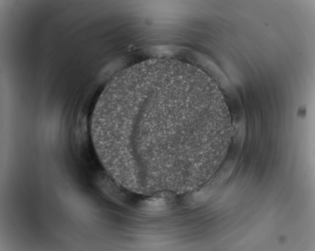 X0000102830381200809151045