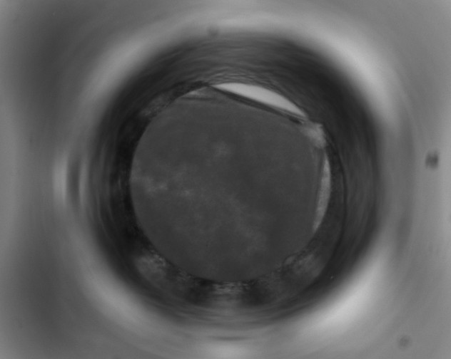 X0000102830382200809151045