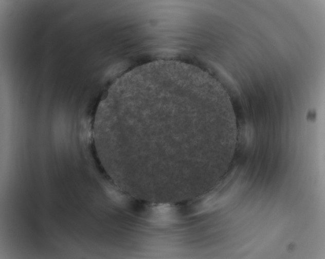 X0000102830383200809151045