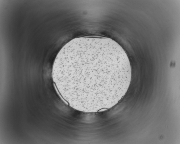 X0000102830384200809151045