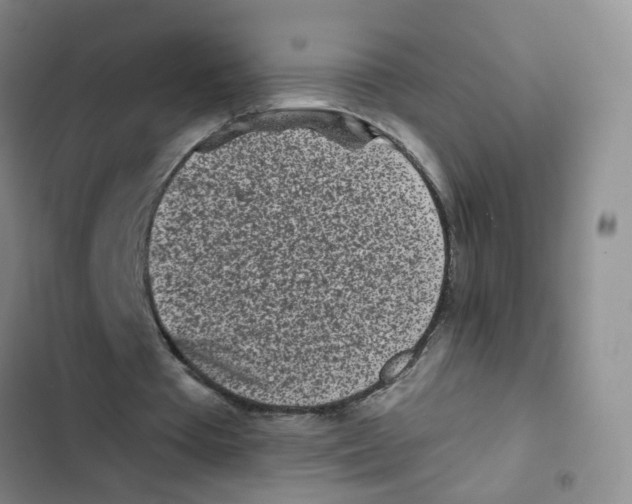 X0000102830385200809151045