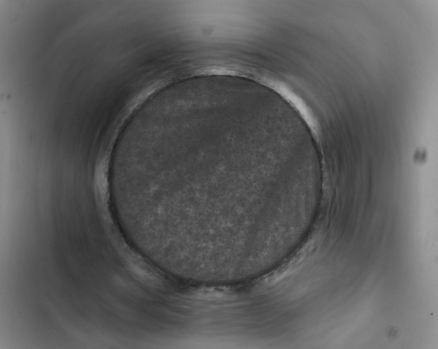 X0000102830386200809151045
