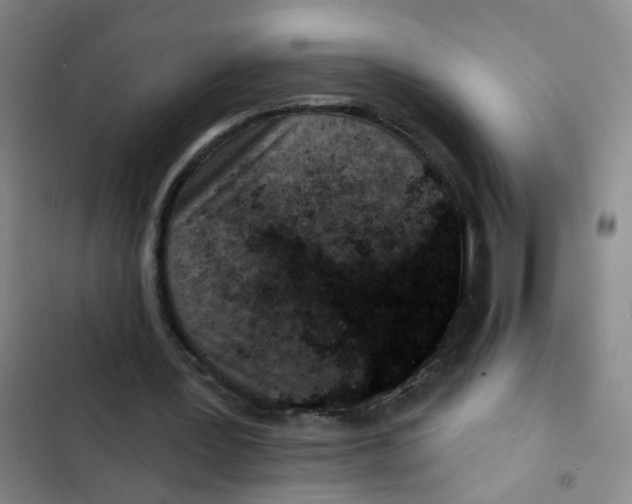X0000102830387200809151045