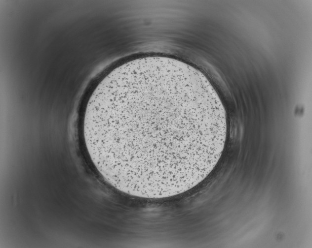 X0000102830388200809151045