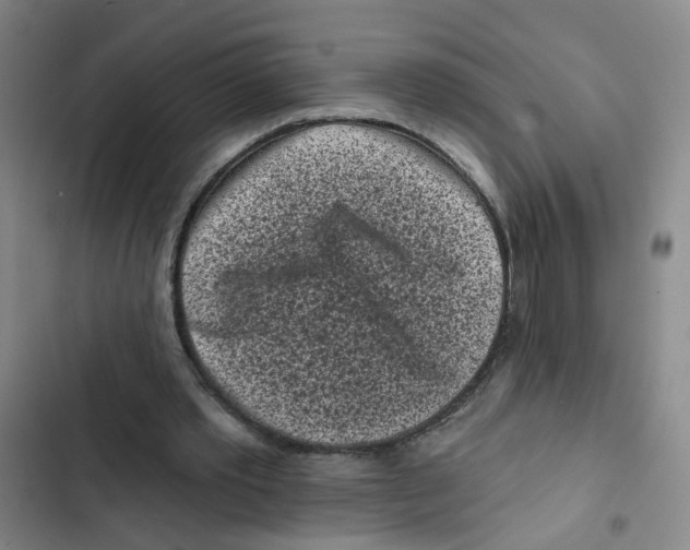 X0000102830389200809151045