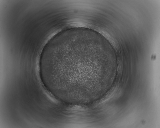 X0000102830390200809151045