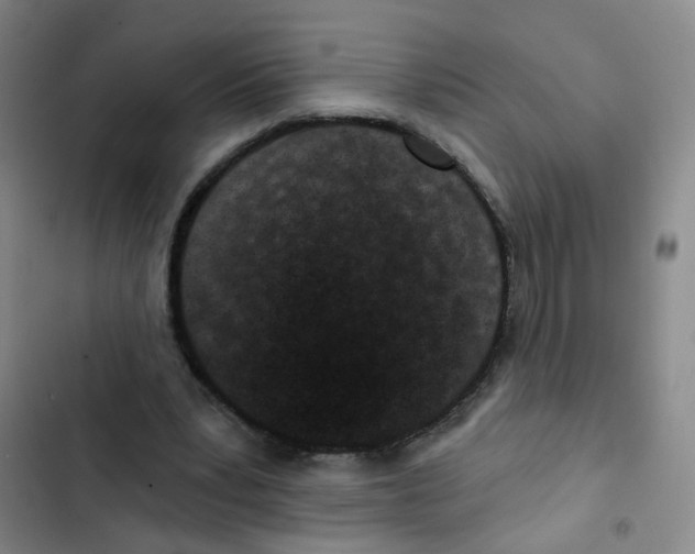 X0000102830391200809151045