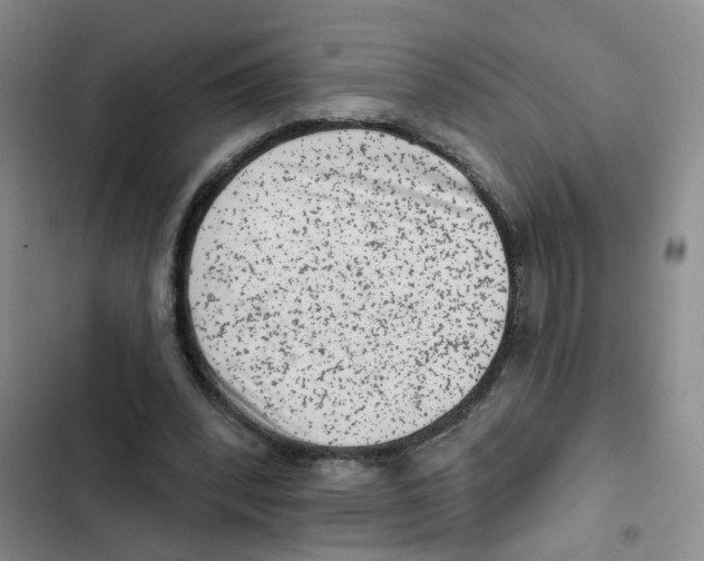 X0000102830392200809151044