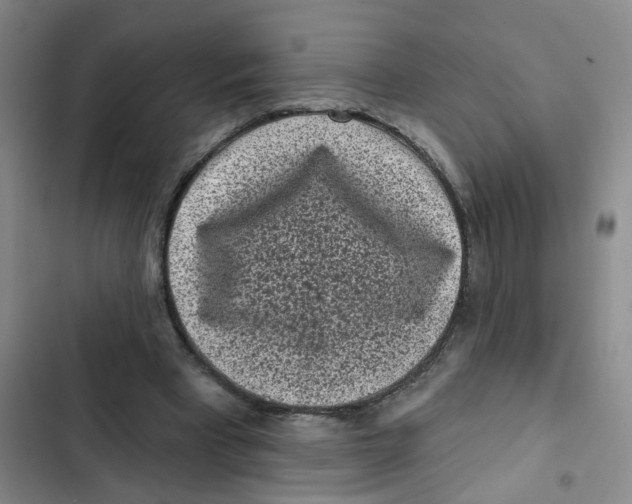 X0000102830393200809151044
