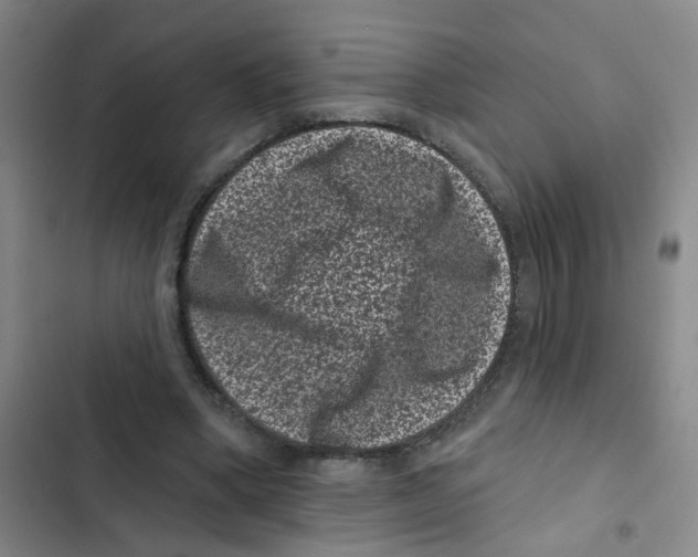 X0000102830394200809151044