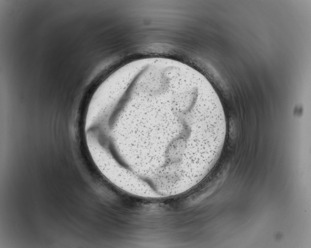 X0000102830396200809151044