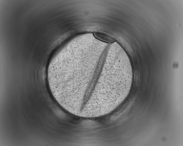 X0000102830397200809151044