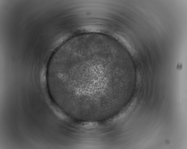 X0000102830398200809151044