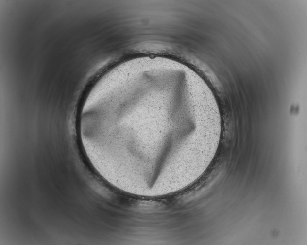 X0000102830399200809151044