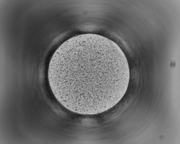 X0000102830400200809151044