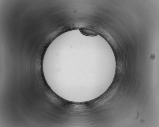 X0000102830401200809151044
