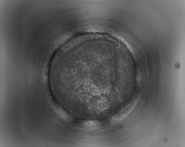 X0000102830402200809151044