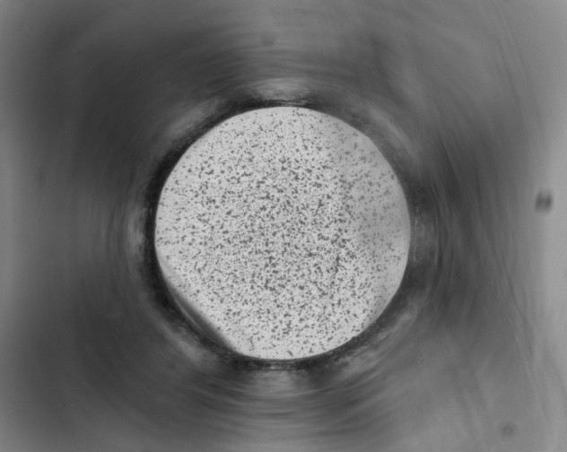 X0000102830404200809151044