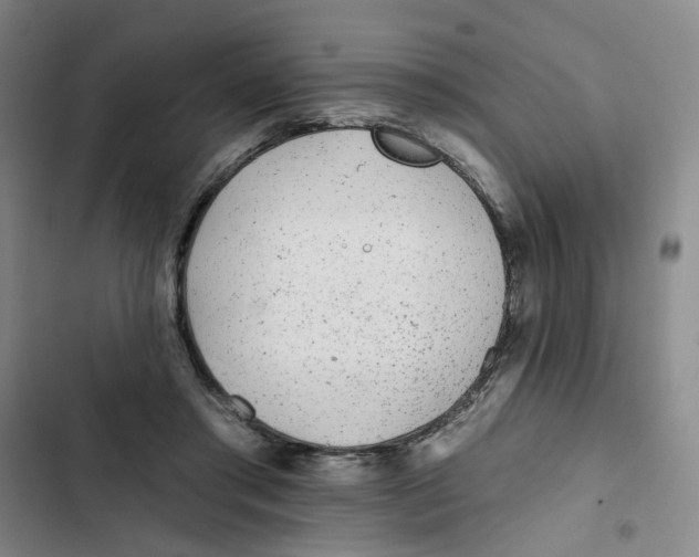 X0000102830405200809151044