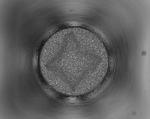 X0000102830406200809151044