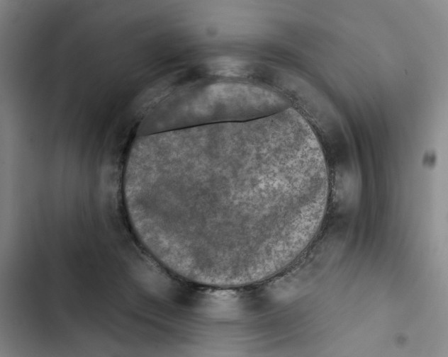 X0000102830409200809151044