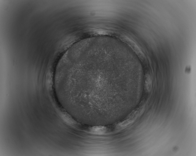 X0000102830410200809151044