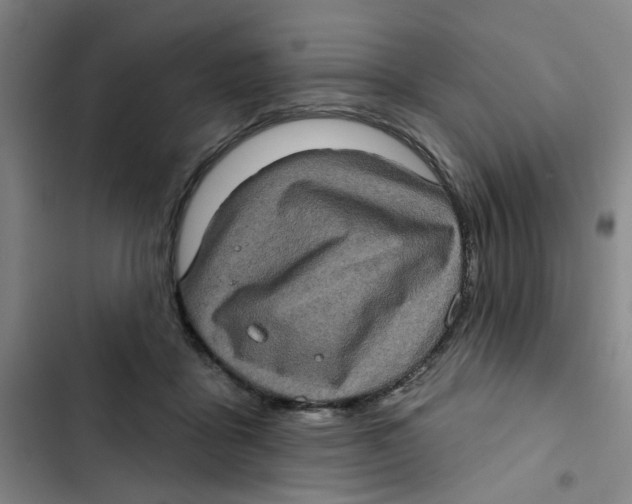 X0000102830411200809151044
