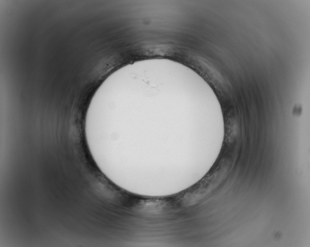 X0000102830414200809151044