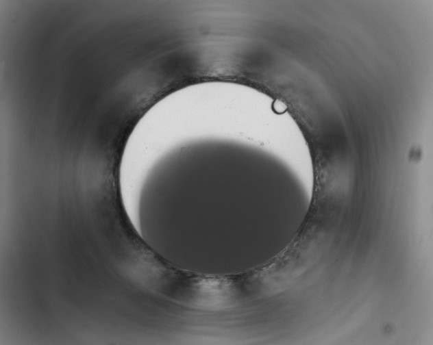 X0000102830415200809151044