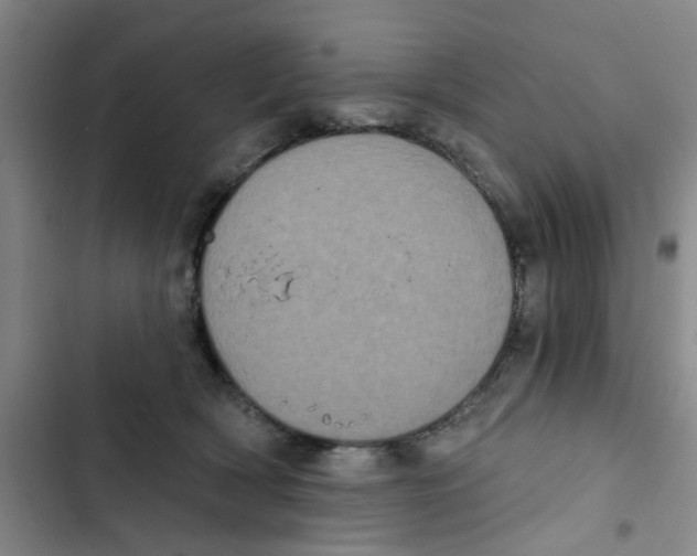 X0000102830418200809151044