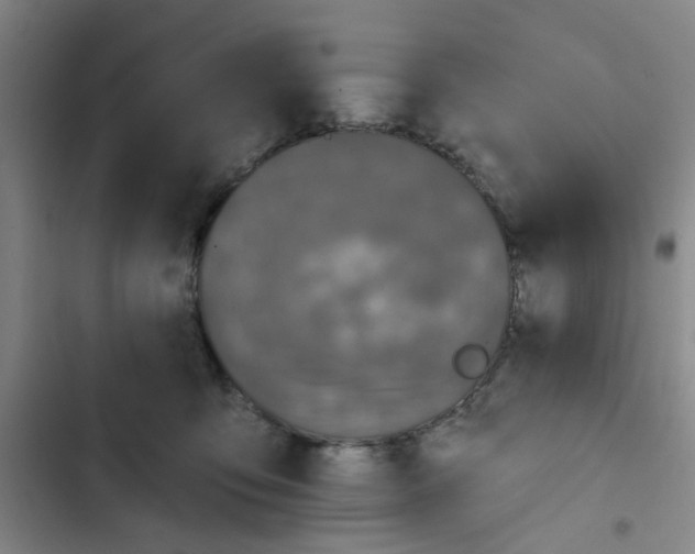 X0000102830419200809151044