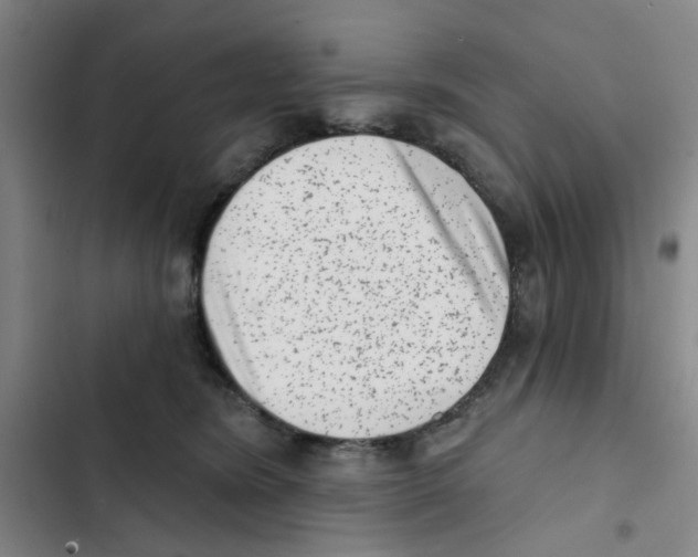 X0000102830420200809151044