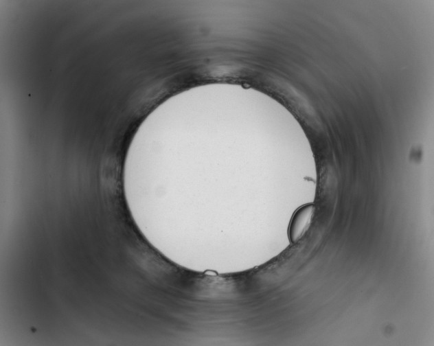 X0000102830421200809151044