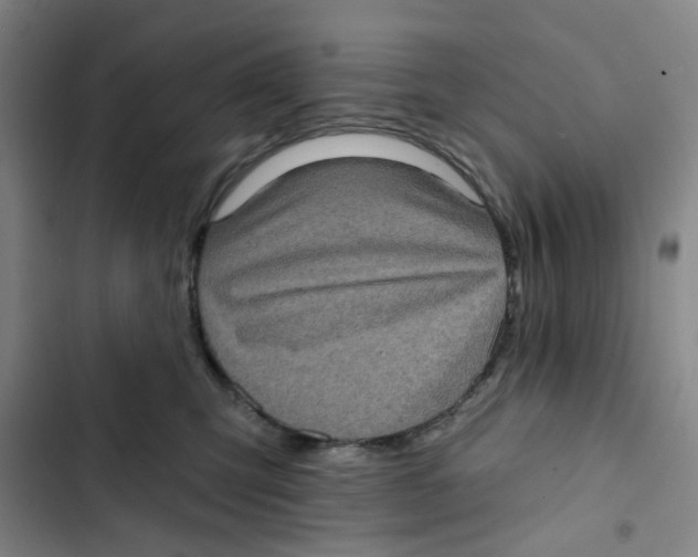 X0000102830423200809151044