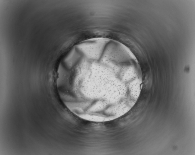 X0000102830424200809151044