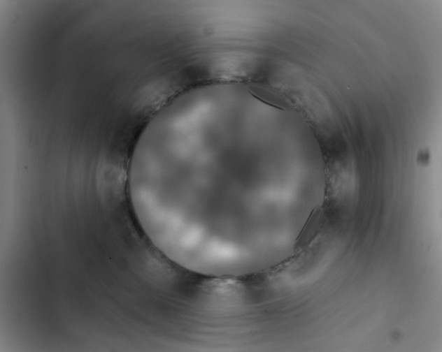 X0000102830427200809151044