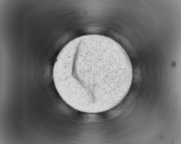 X0000102830428200809151044