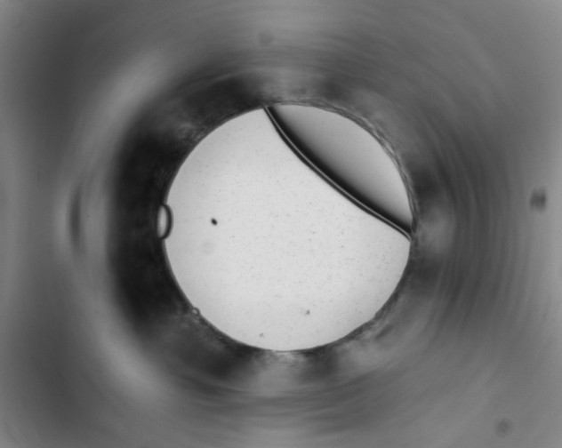 X0000102830429200809151044