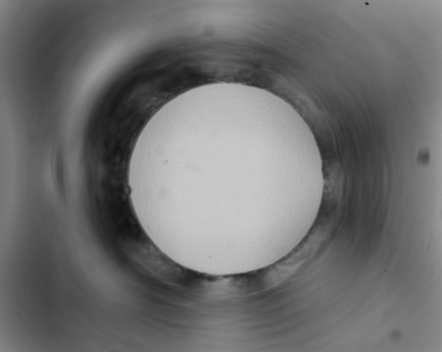 X0000102830430200809151044