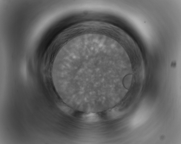 X0000102830431200809151044