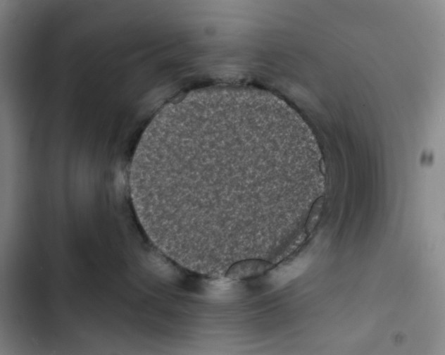 X0000102830432200809151044
