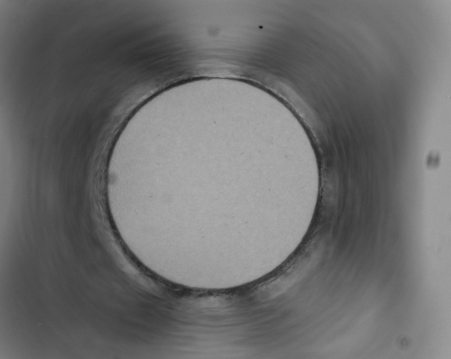 X0000102830433200809151043