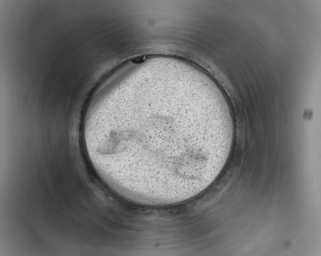 X0000102830434200809151043