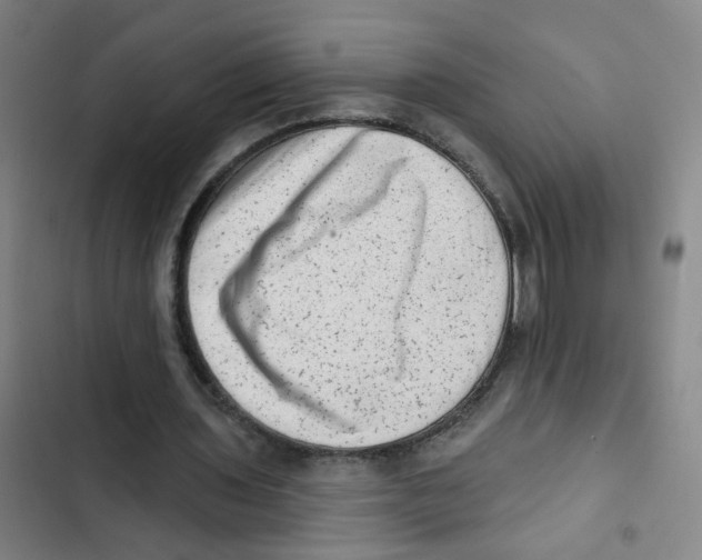 X0000102830435200809151043