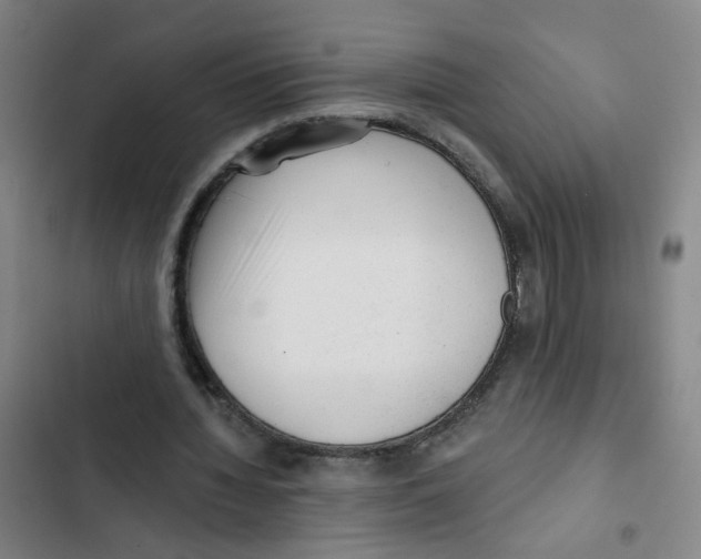 X0000102830436200809151043