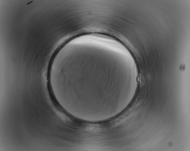 X0000102830438200809151043
