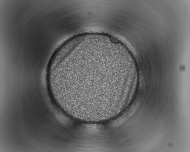 X0000102830439200809151043