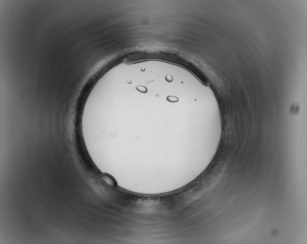 X0000102830440200809151043