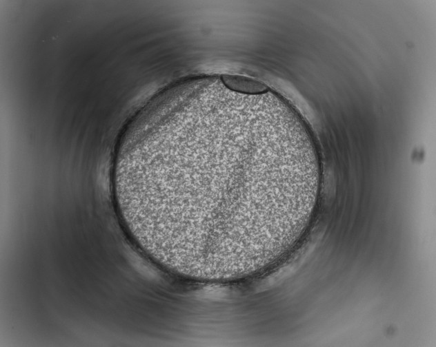 X0000102830441200809151043